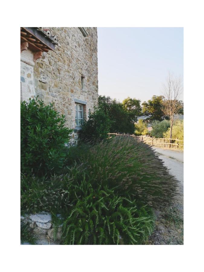 Podere Paradiso Villa Magione Exterior foto